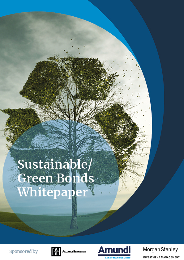 Sustainable / Green Bonds Whitepaper