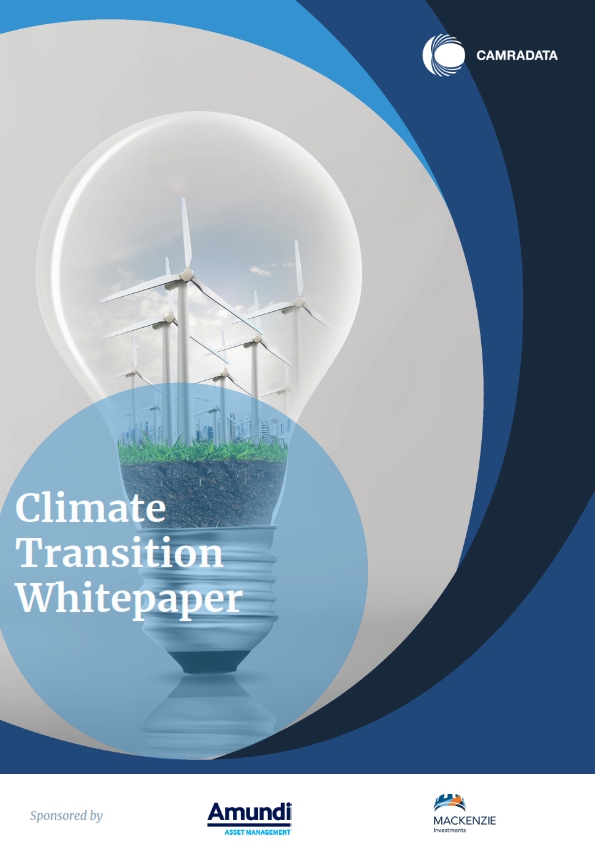 Climate Transition Whitepaper