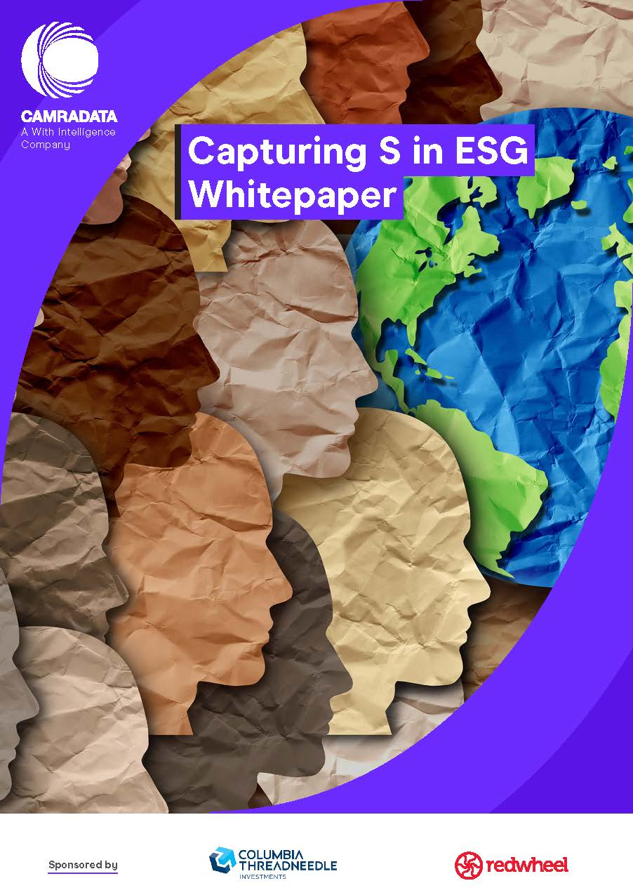 Capturing S in ESG Whitepaper